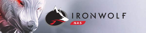 Seagate IronWolf HDD 3.5'' 10TB SATA3 7200RPM 256MB