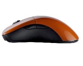Mouse  TRACER GAMEZONE Enduro AVAGO 5050 2700 DPI