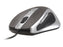 Pelė TRACER Cobra USB 800-2000 DPI