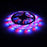Whitenergy LED juosta 5m | 3528 | 4.8W/m | 12V DC | RGB