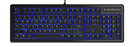 Žaidimų klaviatūra SteelSeries Apex 100