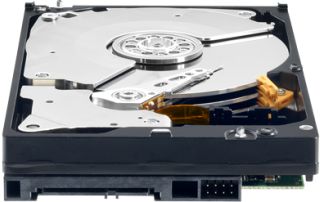 Vidinis diskas WD Black 3.5'' 1TB SATA3 7200RPM 64MB