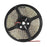 WE LED juosta atsapri vandeniui 5m | 120vnt/m| 3528 | 9,6W/m| 6000K šalta balta